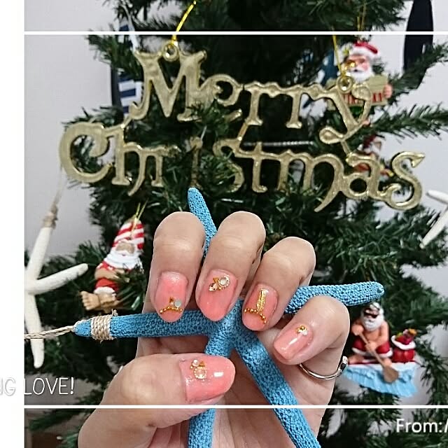erinaさんの実例写真