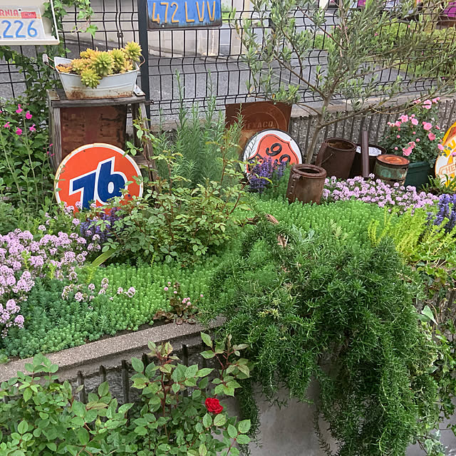 Chieさんの実例写真
