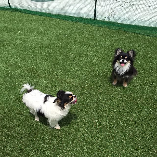 yuhaさんの実例写真