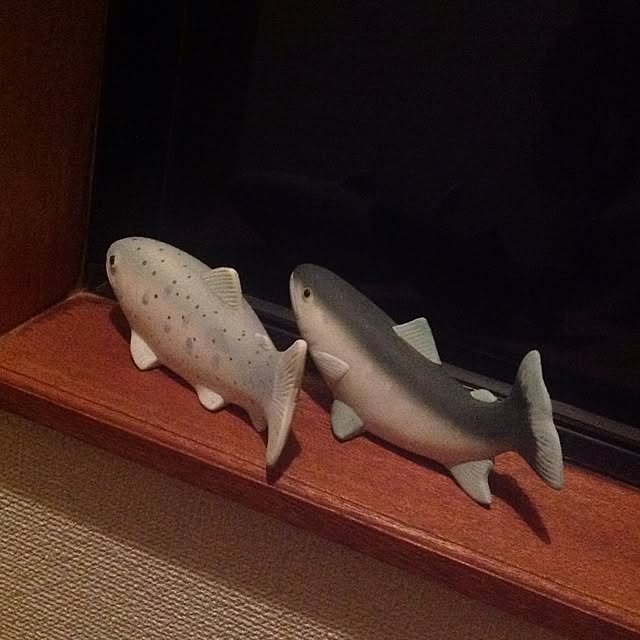 toshiさんの実例写真