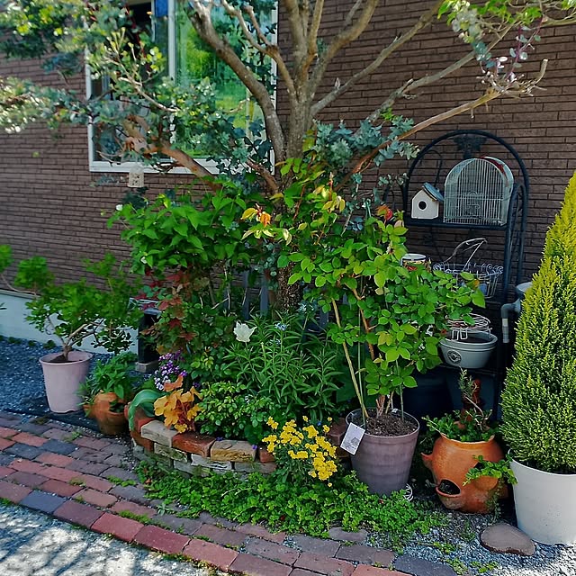 civicglさんの実例写真