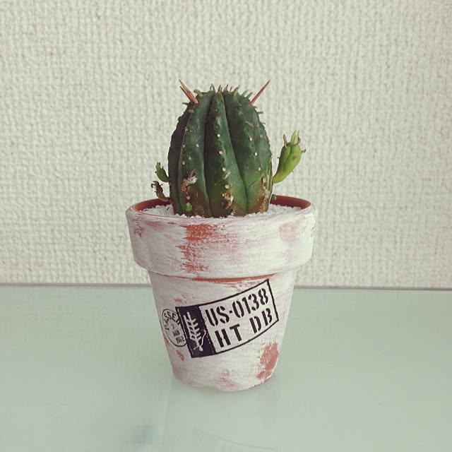 potiさんの実例写真