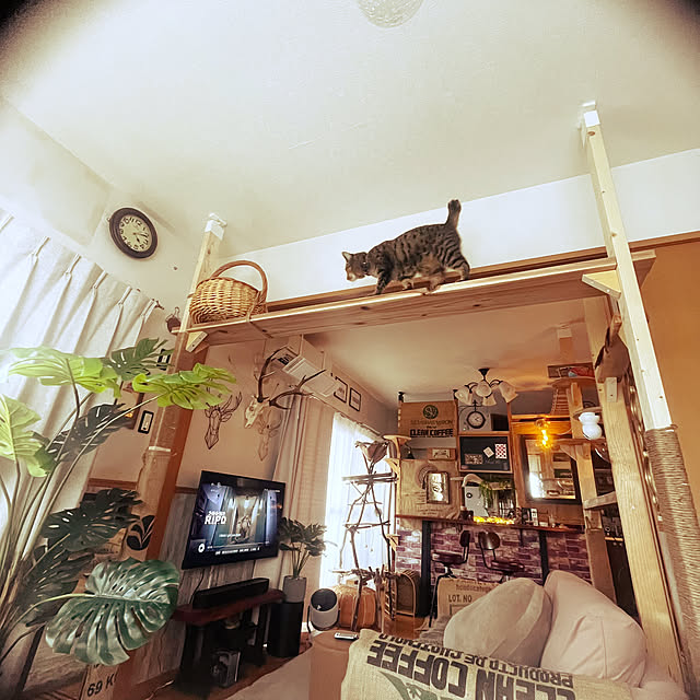 Mさんの実例写真