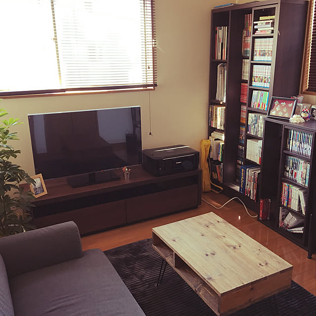 部屋全体/DIY/IKEA/観葉植物/ニトリのインテリア実例 - 2018-02-14 11:44:15