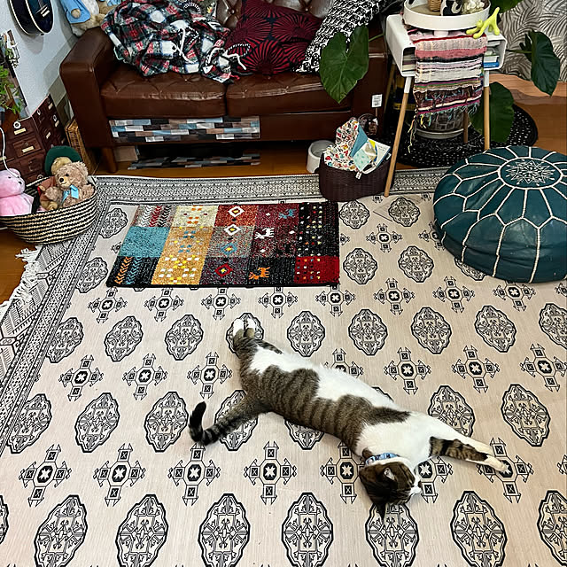 jijiさんの実例写真