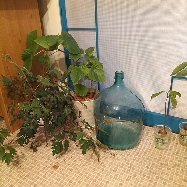 ganchan_0910さんの実例写真