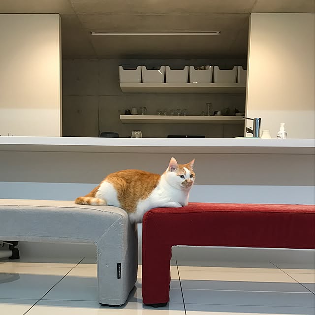 mashさんの実例写真