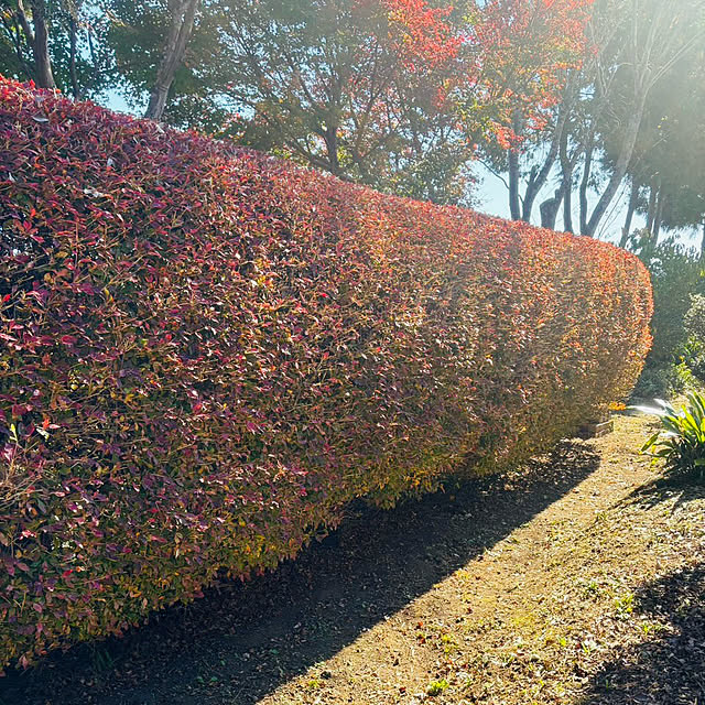 up0524さんの部屋