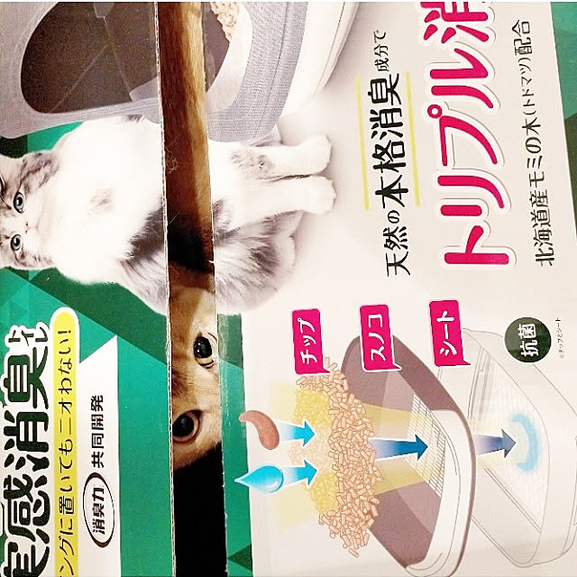 heart.emiemi57.whiteさんの実例写真