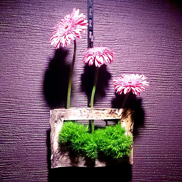 Gravityさんの実例写真