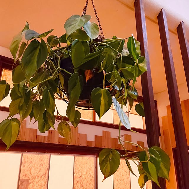 peace1248さんの実例写真