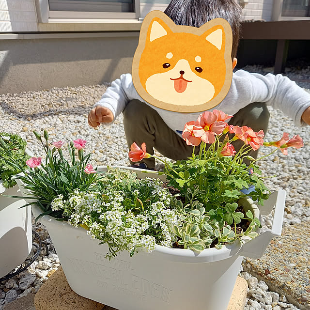 katieさんの実例写真