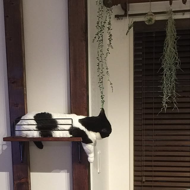 neuruさんの実例写真