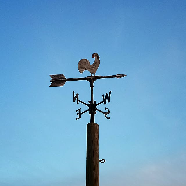 hanaさんの実例写真
