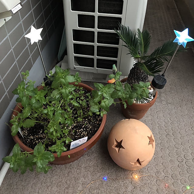 kanaさんの実例写真
