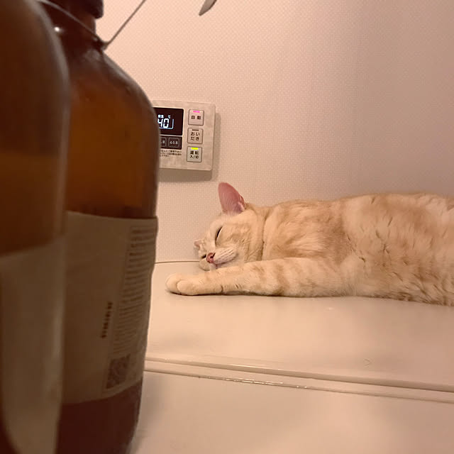 hiyupan88さんの実例写真