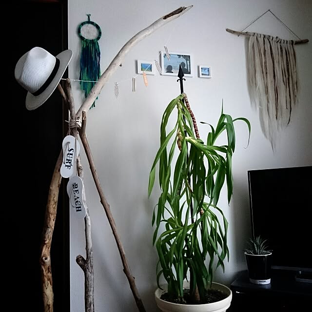 tom1302sknさんの実例写真