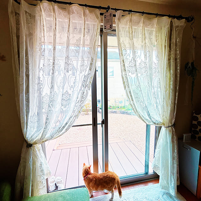 moolさんの実例写真