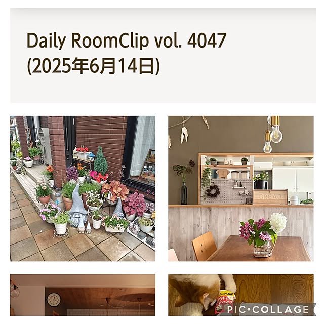 yumiyumiさんの実例写真