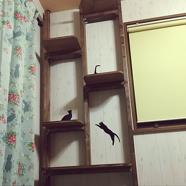 pepeさんの部屋