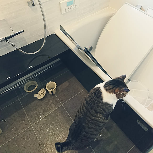 nachiさんの実例写真