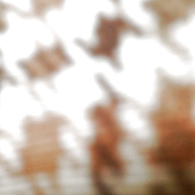 s722ma2さんの実例写真