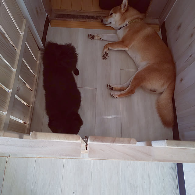 tinatinaさんの実例写真