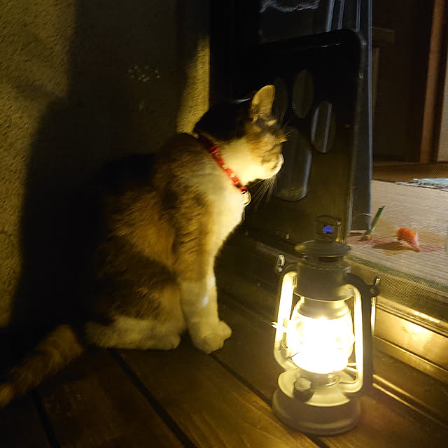 fukuさんの実例写真