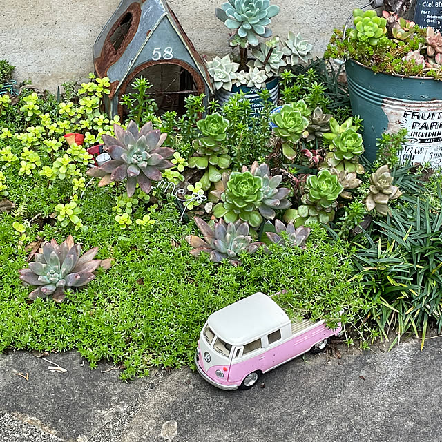 実例写真