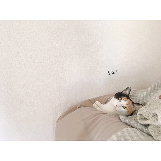 warashibeさんの実例写真