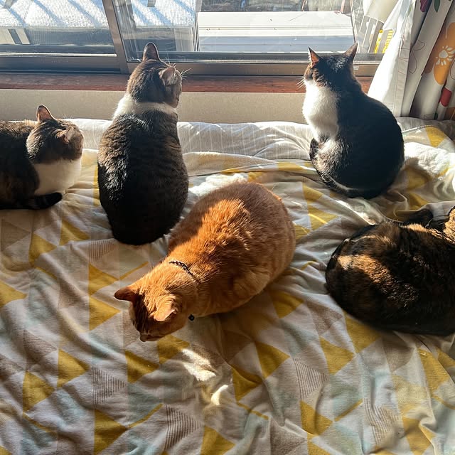 mill_0303さんの実例写真