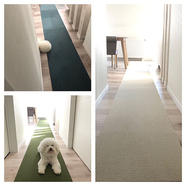 unichanさんの実例写真