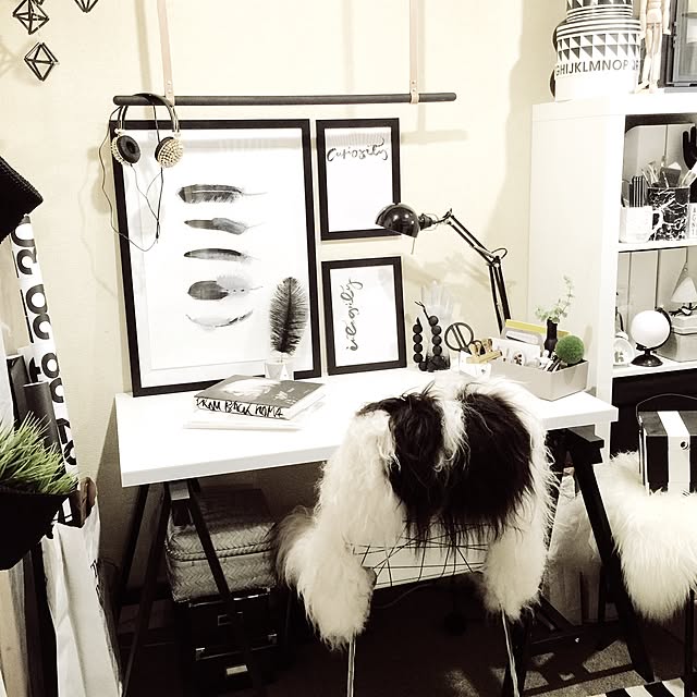 yoshiさんの実例写真