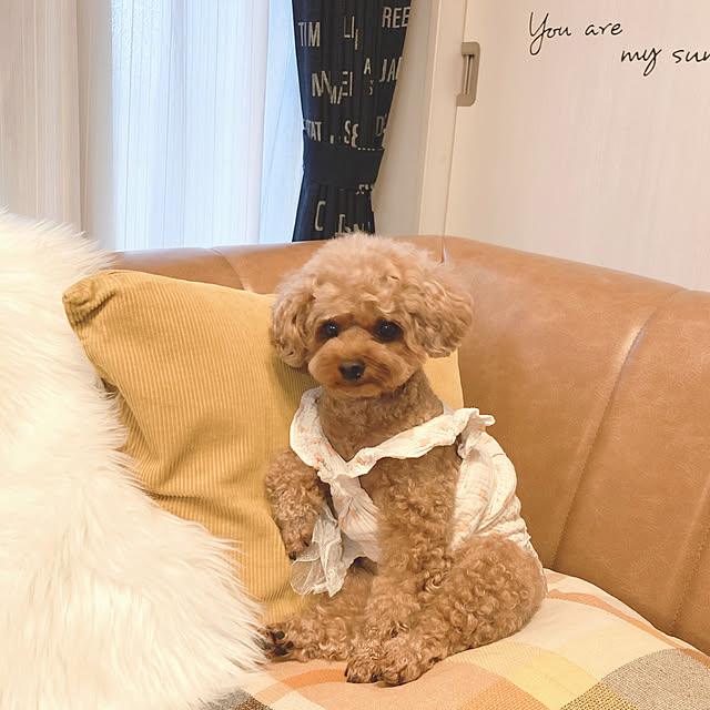 e.and.m.mamaさんの部屋
