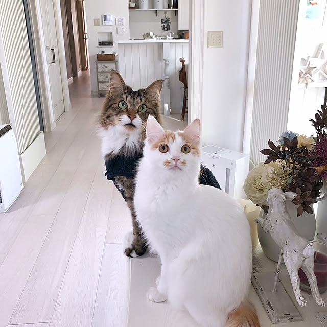 yuchiさんの実例写真