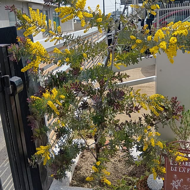 H+M+S...HappyLife...さんの実例写真
