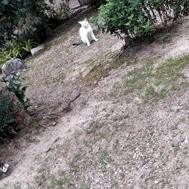 lilyさんの実例写真