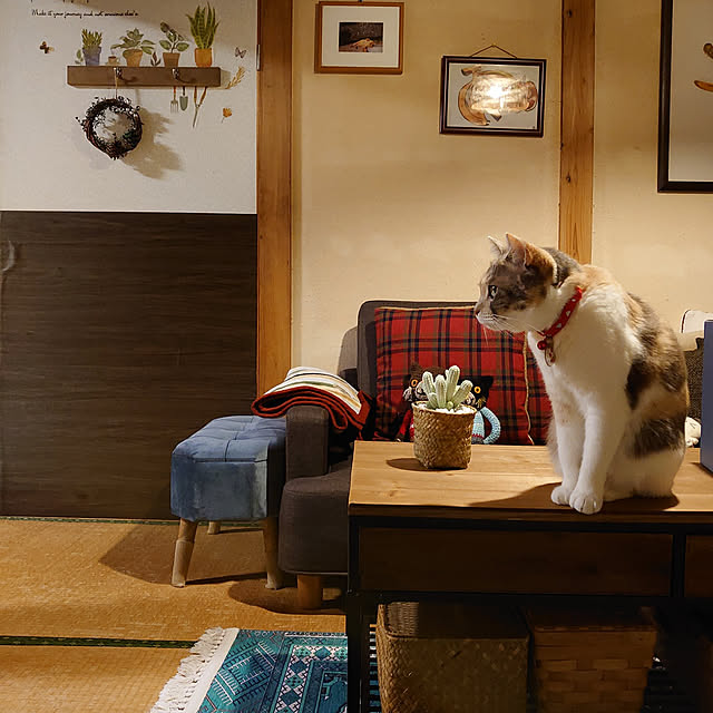 fukuさんの実例写真