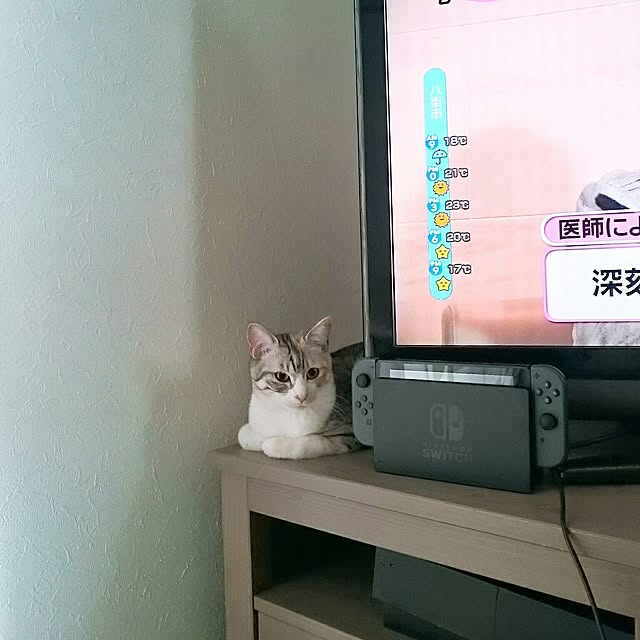 yumickeyさんの実例写真