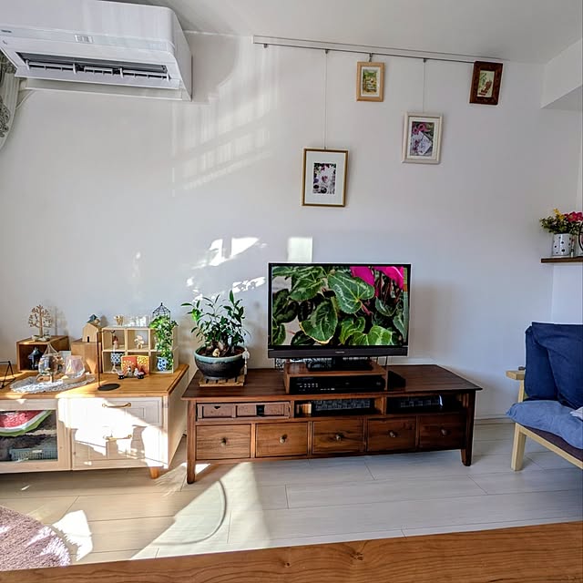 mi-saさんの部屋