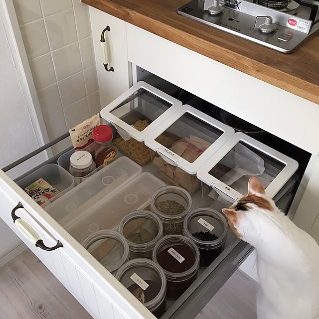kajiさんの実例写真