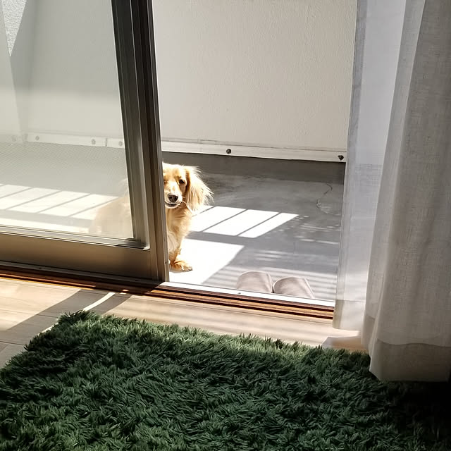 yukihiraさんの実例写真