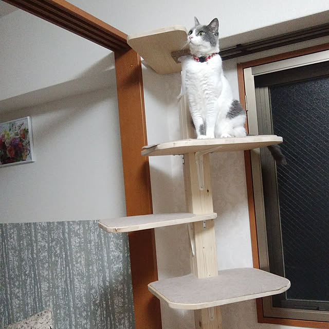 Manamiさんの実例写真