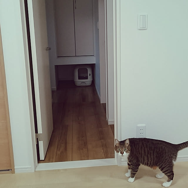 shiiiさんの実例写真