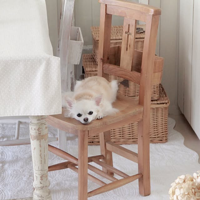 Rikoさんの実例写真