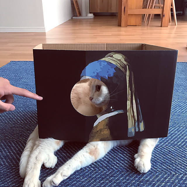 hiyupan88さんの実例写真