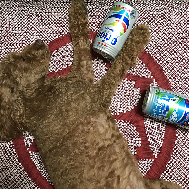 hiro.tさんの実例写真