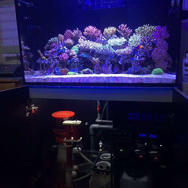 aquarium_seaさんの実例写真
