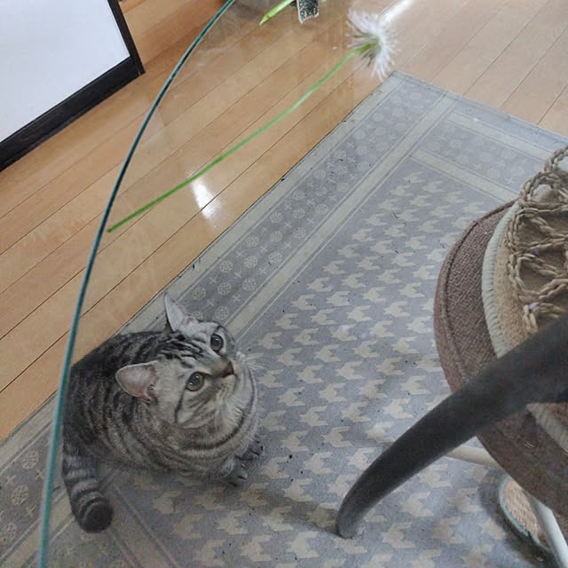 hiro3さんの部屋