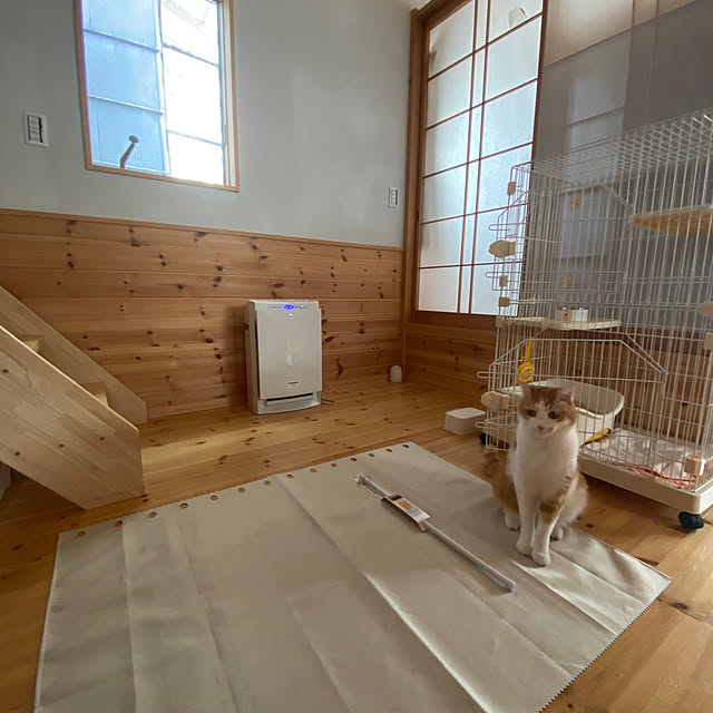 senbei.sakuramochiさんの実例写真
